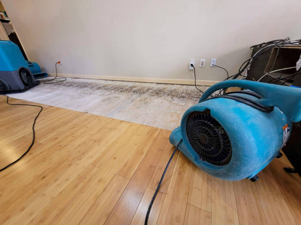 Professional Flood Damage Cleanup technician working in Germantown, TN